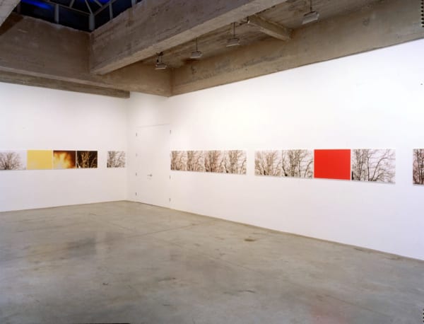 Installation view Tanya Bonakdar Gallery, 2002
