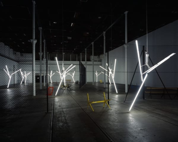 Installation view, Our Love is Like the Flowers, the Rain, the Sea and the Hours, Tramway, Glasgow, 2002