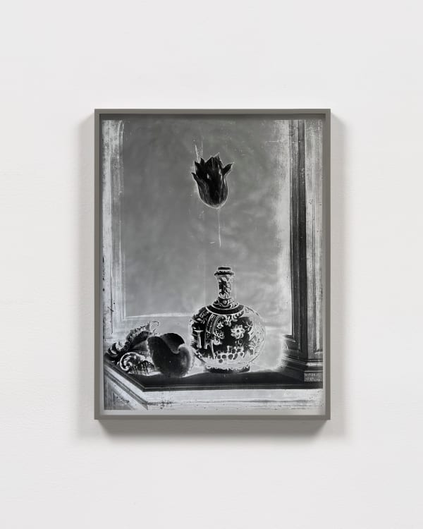 Stilleben: Still Life with a Tulip, 1637/2023, Version I, 2023