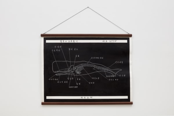 Image of Extinction Vortex.