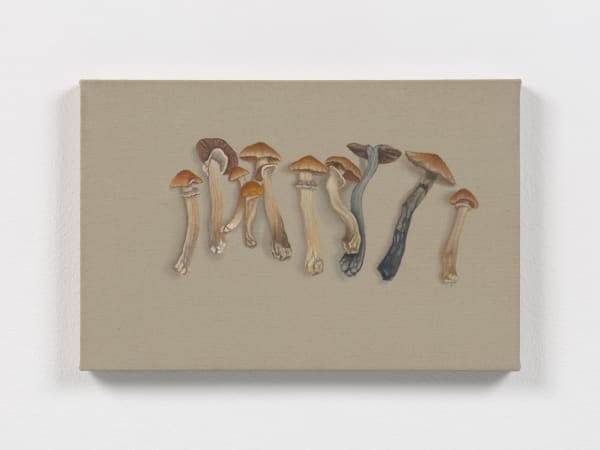 Dana Powell's painting of a row of assorted mushrooms against a neutral colored background, hung on a white wall