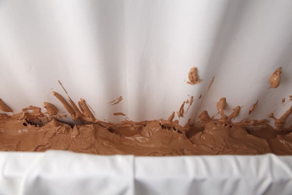 Trough (Flesh) [detail], 2012