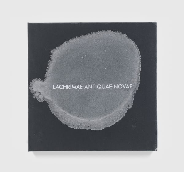 Image of Lachrimae Antiquae VIII