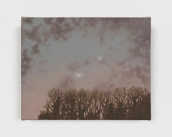 Moon and Venus, 2025