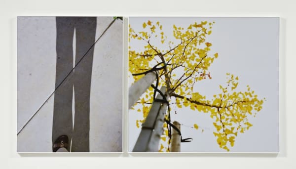 ... to walk without destination and to see only to see. (Untitled 10.2), 2010