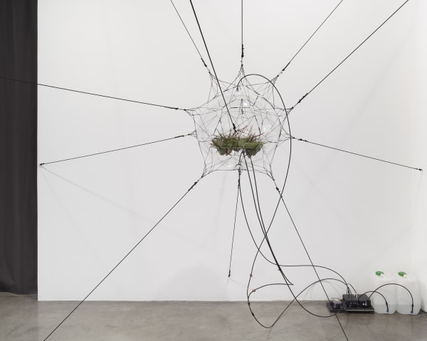 Biosphere 06, 2009