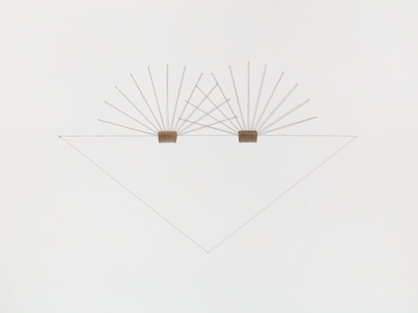 (Quasi) Catachresis #29 (eye of the needle, head of the nails, teeth of the combs), 2024