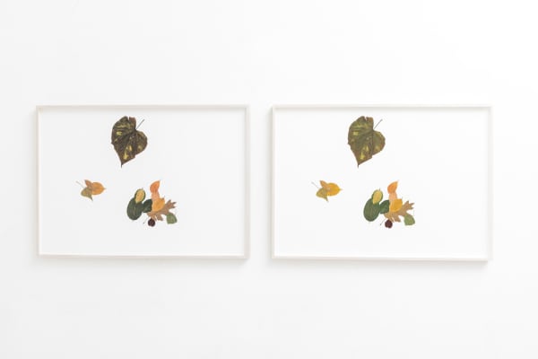 Silent Autumn 24042021... (Triptych) TBC, 2021-2022