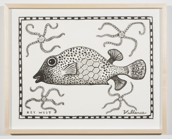 Key West Honeycomb Cowfish with Long-legged Starfish, 2013