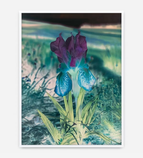 Image of Mlle Steichen Version XIII.