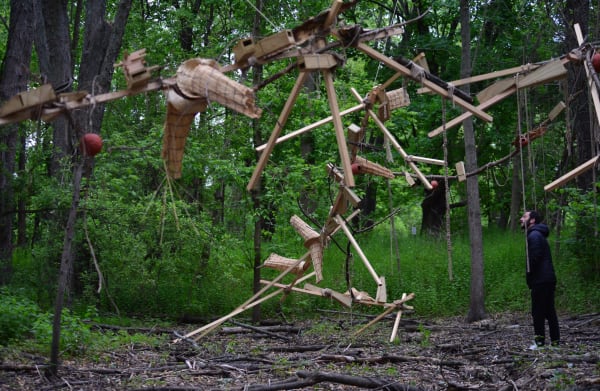 Image of Indistinct Form (Forma Indistinta).