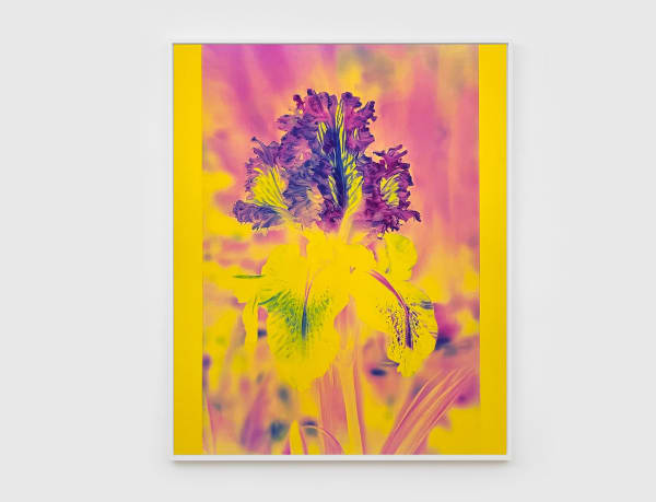 Image of Mons. Steichen III.