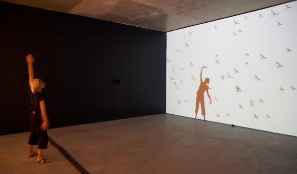 Untitled (Shadow 2), 2006