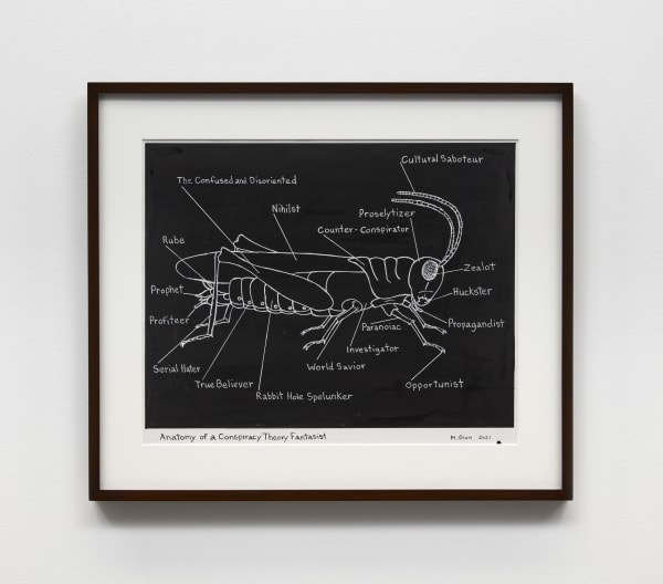 Anatomy of a Conspiracy Theory Fantasist