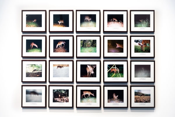 Bureau of Remote Wildlife Surveillance, 1999-2007