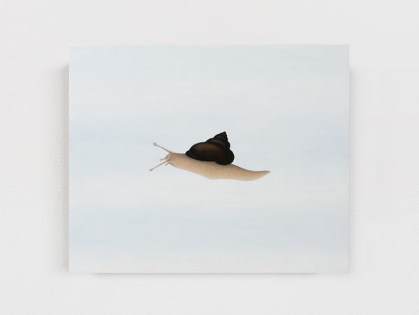 Image of What else did I see? (Time Flies).