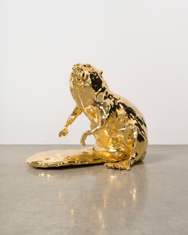 Image of Possibilities Untouched by the Mind.