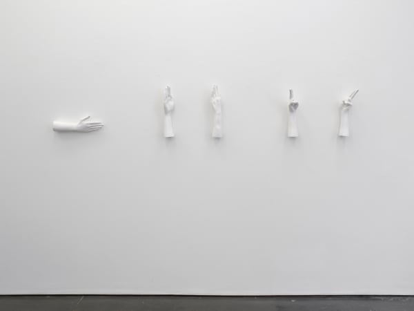 please open hurry (in memory of Washoe), 2018