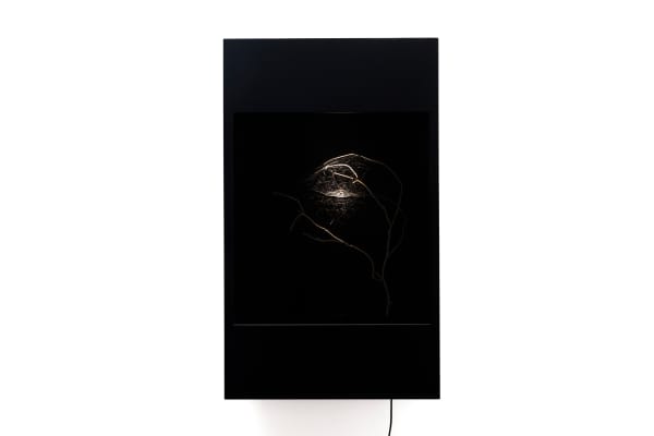 Saraceno's spidersilk box work.