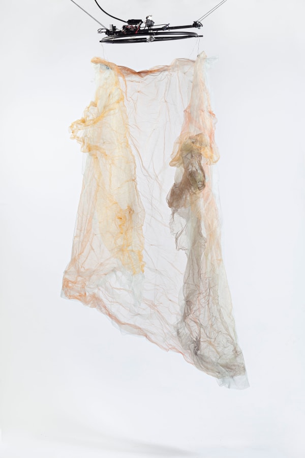 Image of Balé Literal; Annabelle Serpentine Dance.