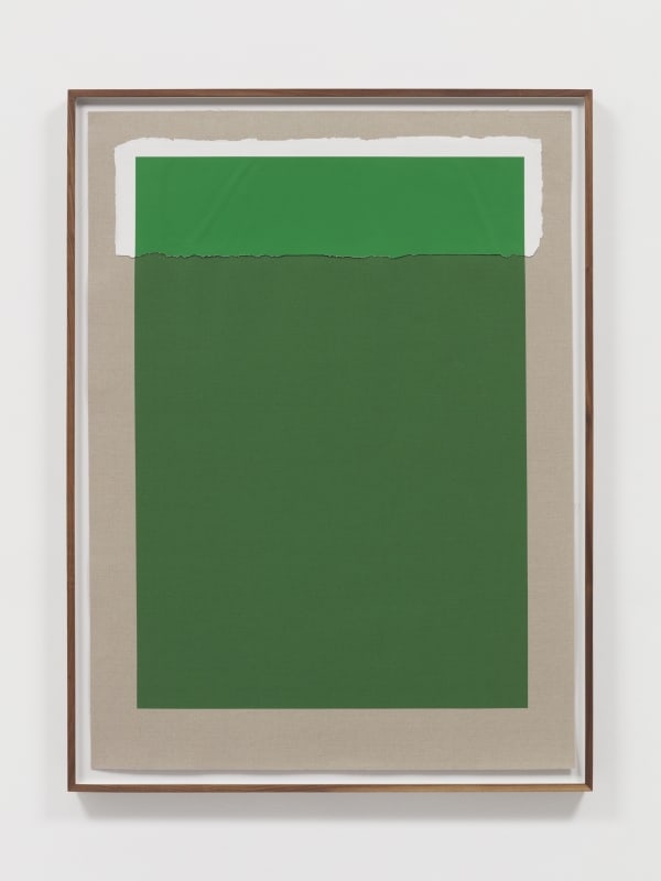 analia saban green print