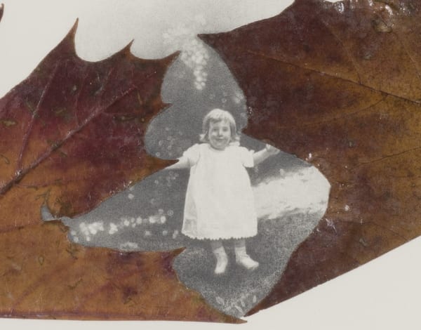 Untitled 2 [detail], 2013