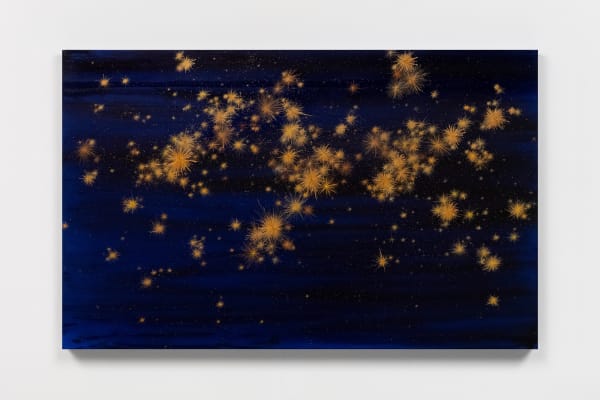 Night with Stars IV, 2024