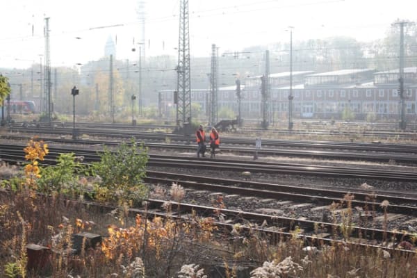 Image of Study for Strings.