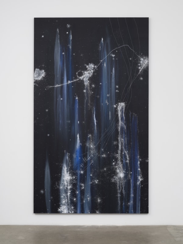 Untitled (From the series Cosmic Garden/Nocturnal), 2021