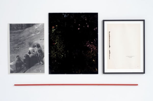 Untitled, 2008