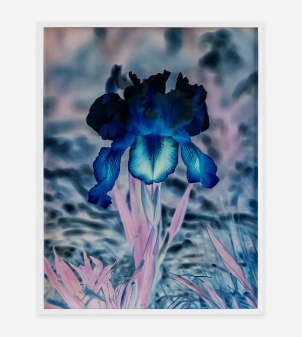 Frau Steichen Version II