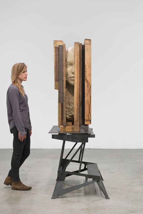 Dry Head on Wooden Floor, 2015