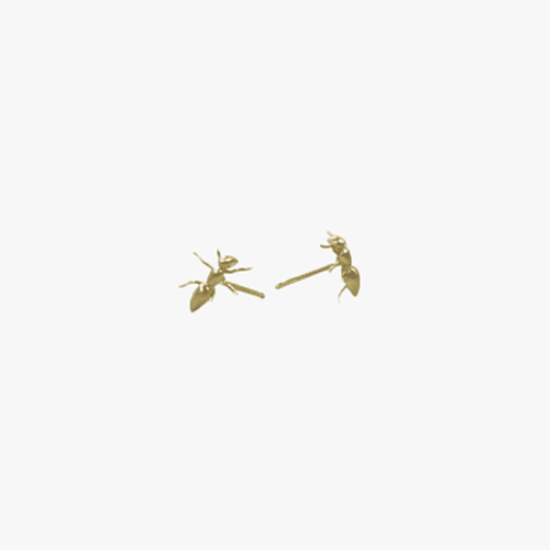 Gabriella Kiss, Ant studs