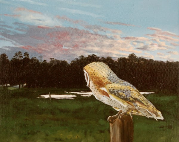 Martin Gale, Prowlers, 2019