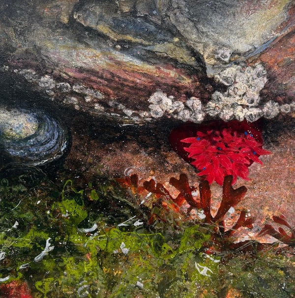 Janet Murran, Haven, 2024