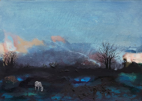 Ann Quinn, December Field, 2024