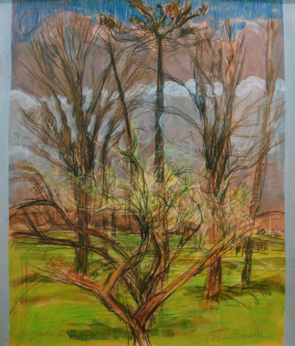 Brian Bourke, The Garden at Pollagh, 2019