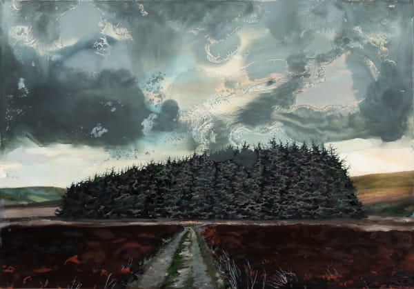 Ann Quinn, We Came and Saw Them, 2023