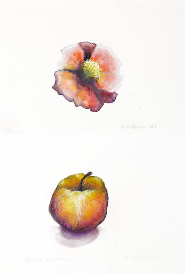 Anne Madden, Apple and flower, 2015–16