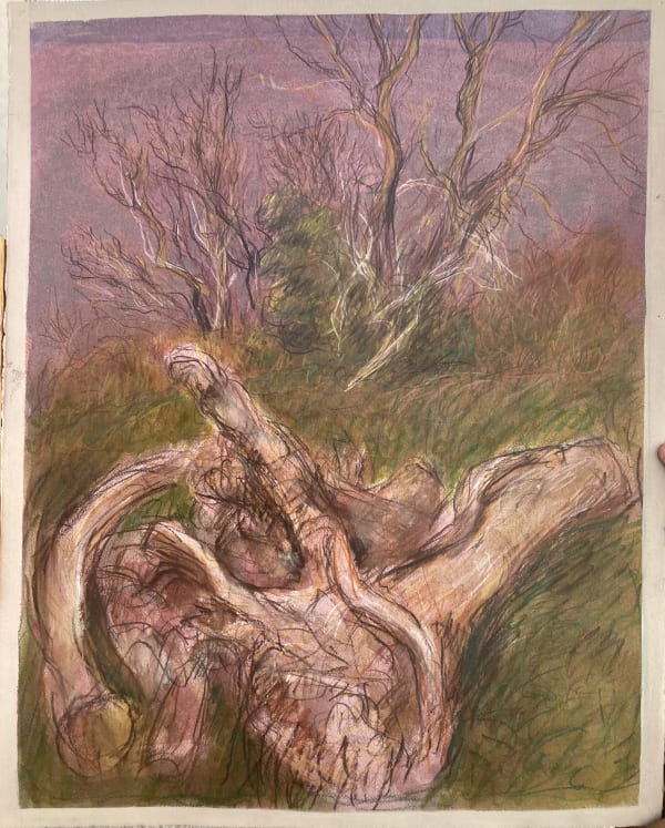 Brian Bourke, Dead Wood II, 2021