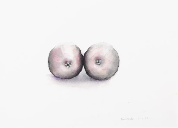 Anne Madden, Pair of peaches, 2008