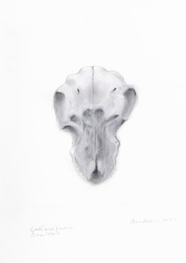 Anne Madden, Goat skull found on Aran Island, 2015–16