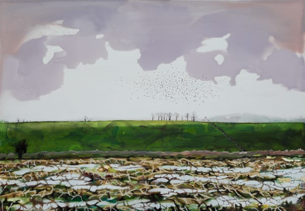 Ann Quinn, Between Storms on the Moss Road, 2025