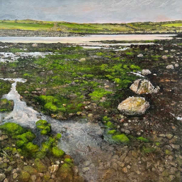 Janet Murran, Journey Along Green Furred Mud Flats with Barnacle Covered Rocks 2024, 2024