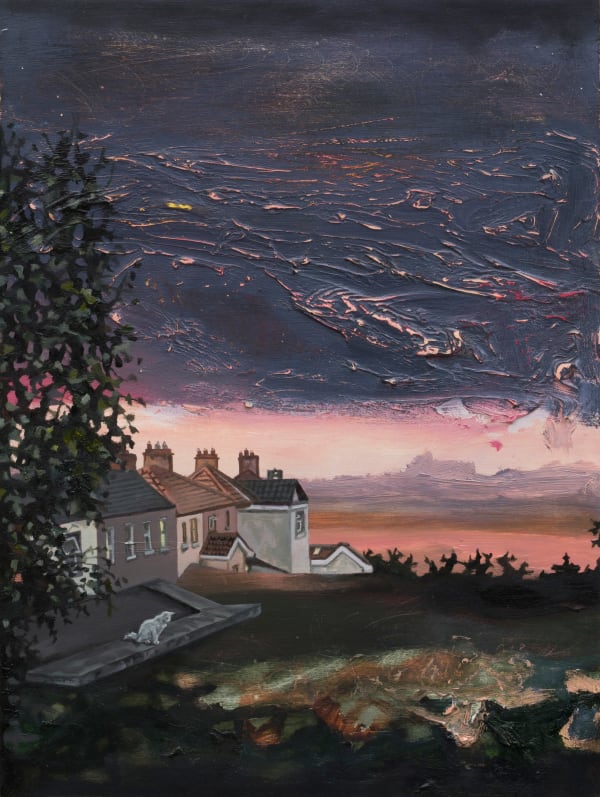 Ann Quinn, The Crumlin Cat, 2023