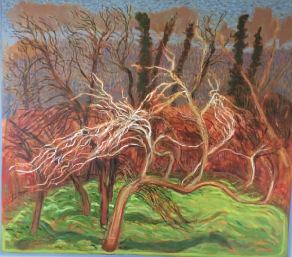 Brian Bourke, The Beehive Orchard, 2019