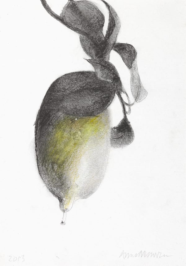 Anne Madden, Lemon on tree I, 2013