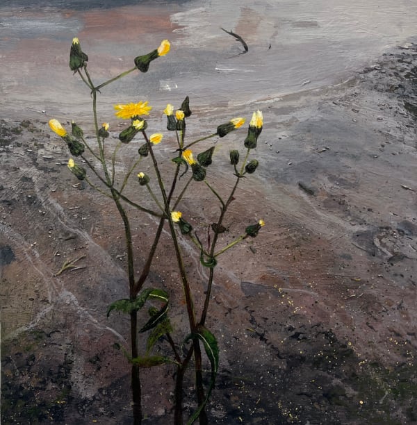 Janet Murran, A Yellow Dance, 2024