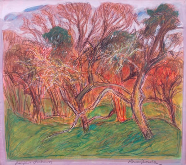 Brian Bourke, Beehive Orchard 6, 2019