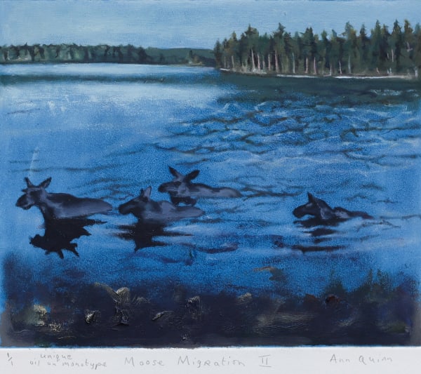 Ann Quinn, Moose Migration II, 2025